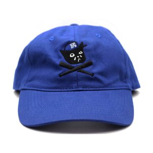 sad cat dark blue baseball hat
