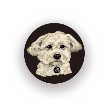 Illustration of Pappy, a small fluffy white dog with floppy ears, on a dark circular background. The "Pappy Pin (2025)" shows the initials "HPB" on the collar.