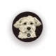 Illustration of Pappy, a small fluffy white dog with floppy ears, on a dark circular background. The "Pappy Pin (2025)" shows the initials "HPB" on the collar.