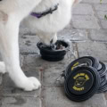 A white dog drinks water from an expanded black Collapsible Travel Dog Bowl, with a stack of folded bowls nearby.