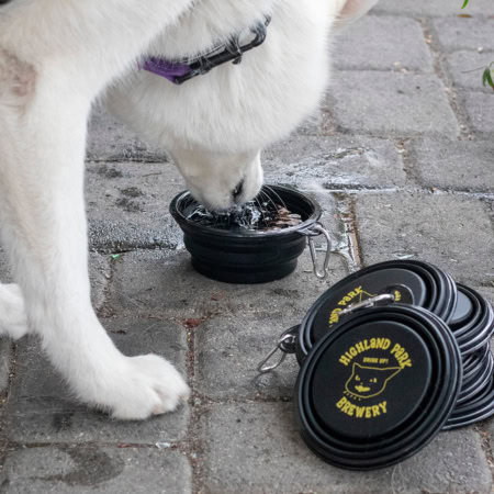 A white dog drinks water from an expanded black Collapsible Travel Dog Bowl, with a stack of folded bowls nearby.